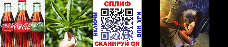 Canna-Cookies конопля  купить наркоту  Киреевск 