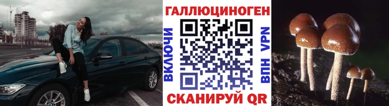 мориарти клад Киреевск Галлюциногенные грибы Cubensis